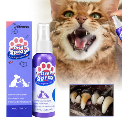 PET Dog Dental Care Spray,Plant-Based Ingredients,Safe and Healthy,Vet-Recommended Breath Freshener & Teeth,No Brushing 30ML Shop Now, Amazing Deal