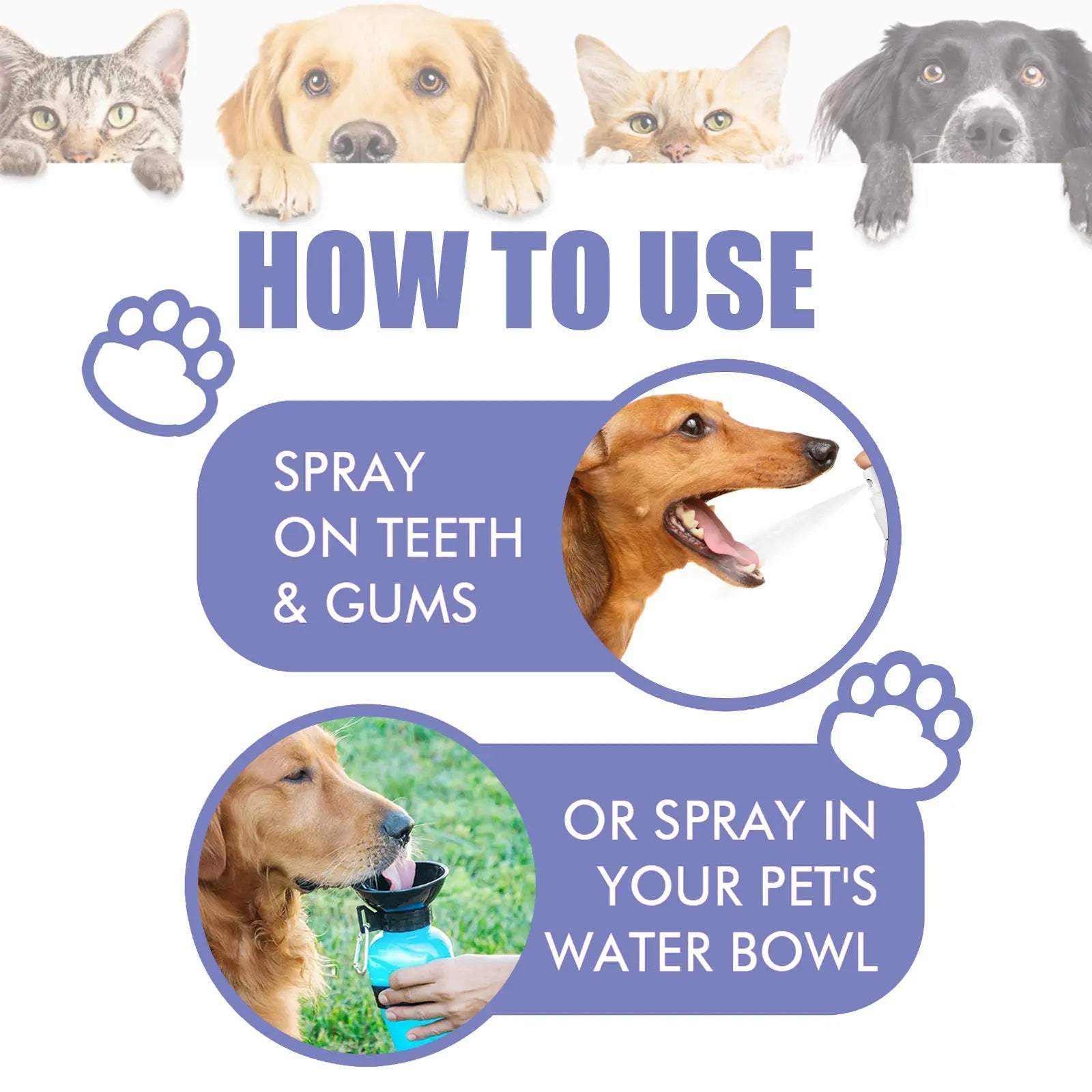 PET Dog Dental Care Spray,Plant-Based Ingredients,Safe and Healthy,Vet-Recommended Breath Freshener & Teeth,No Brushing 30ML Shop Now, Amazing Deal